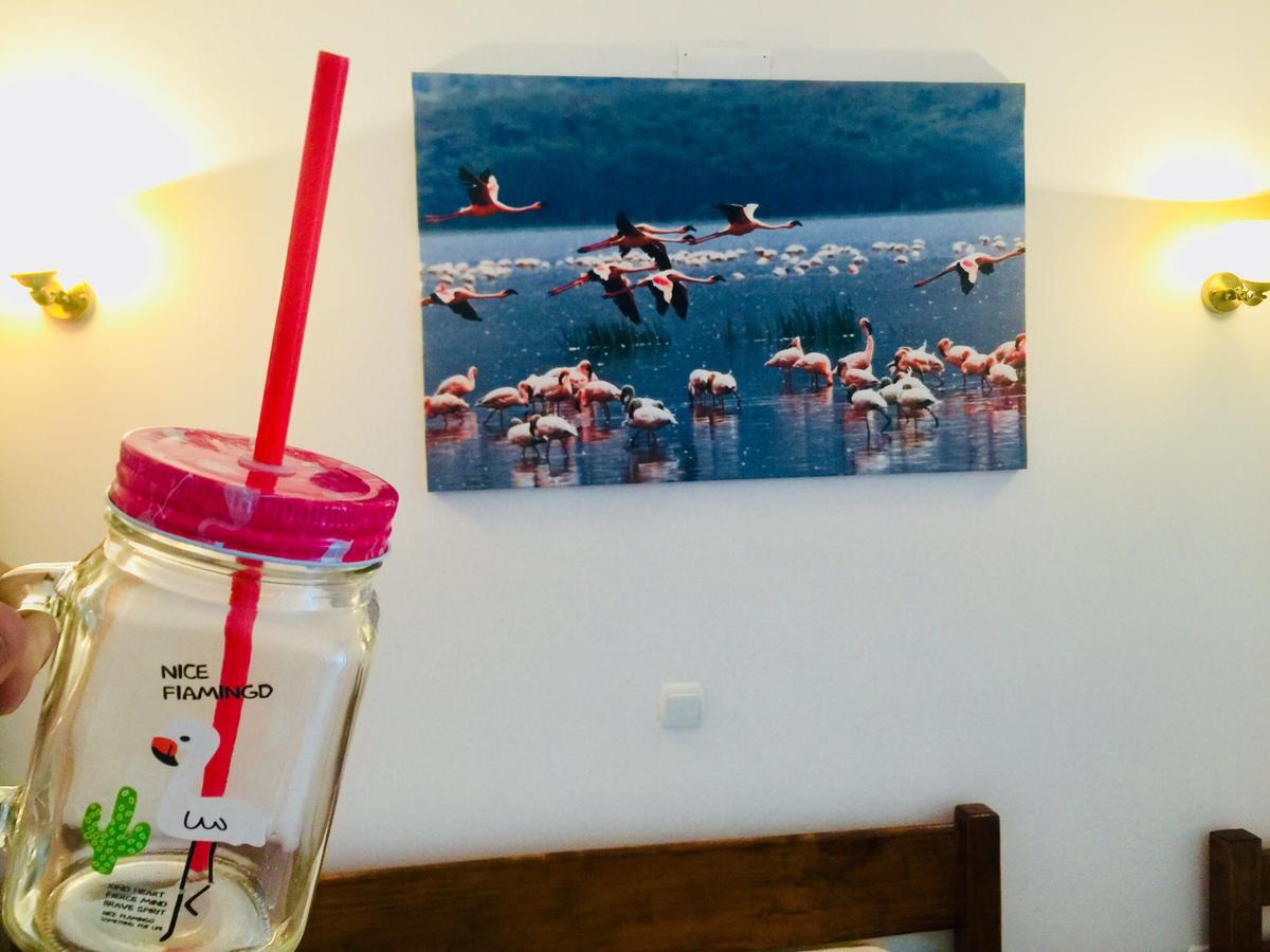 Apartments Flamingo อุลซิน ภายนอก รูปภาพ